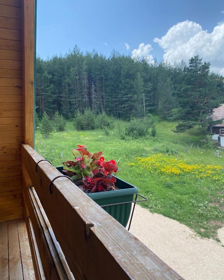 Paradise Zabljak Bagian luar foto