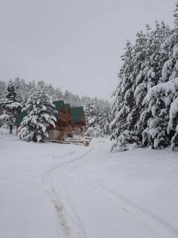 Paradise Zabljak Bagian luar foto